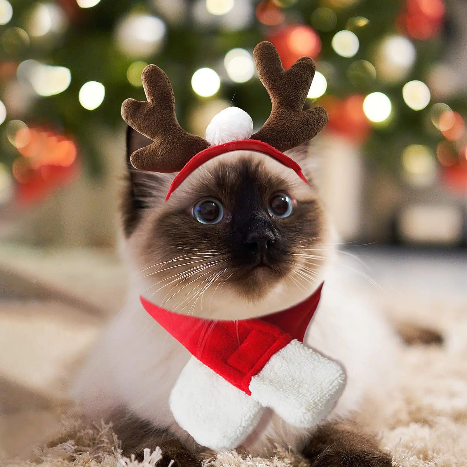 PETLESO Cat Christmas Costume Cat Reindeer Antlers with Christmas Scarf Small Dog Santa Costume Pet Xmas Outfits for Cat Kitten Puppy