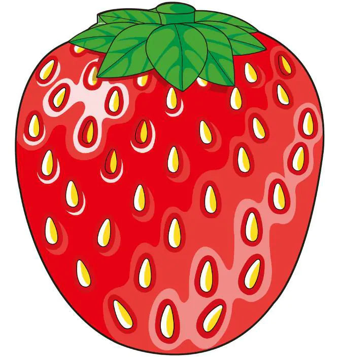 Beach Towel, Shawl, and Mat Set