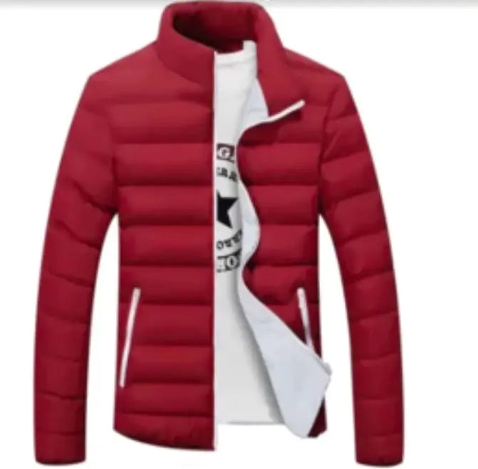 Men's Thick Cotton Jacket - Warm Winter Down Coat