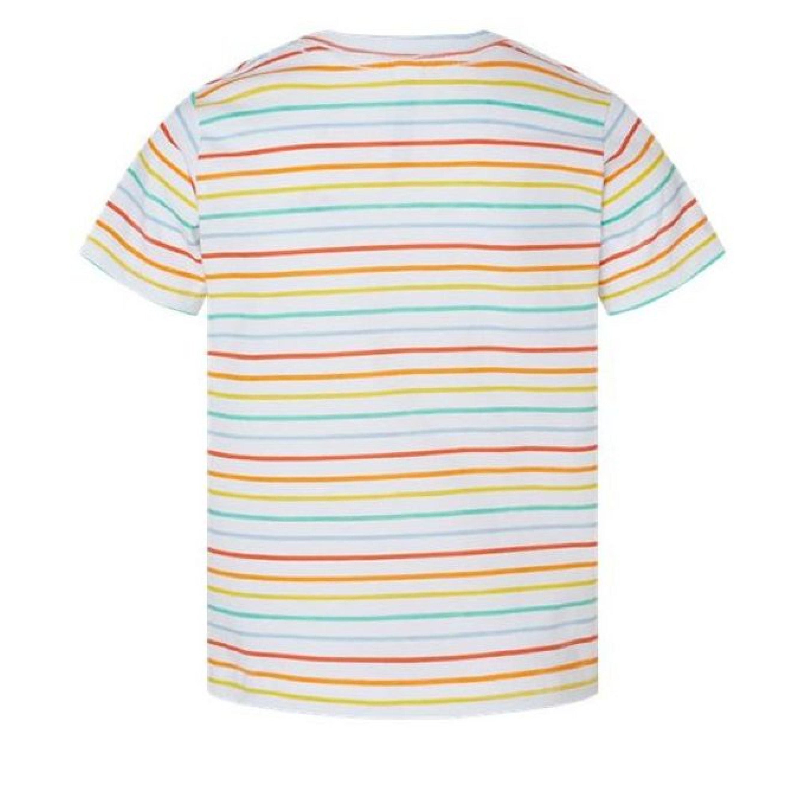 Rainbow Stripe - BACK