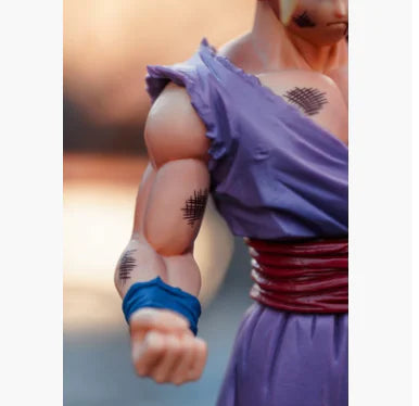 Anime Figure Model Collection